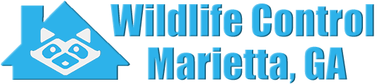 Marietta Wildlife and Animal Removal